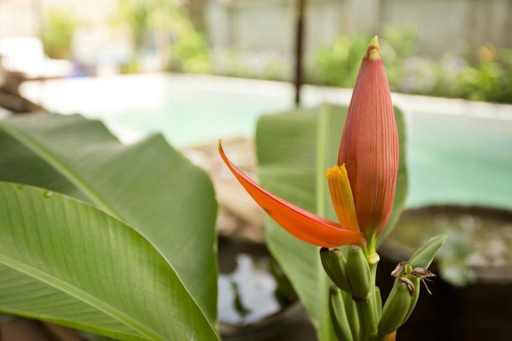 Casa Villa Independence Phnom Penh Zewnętrze zdjęcie